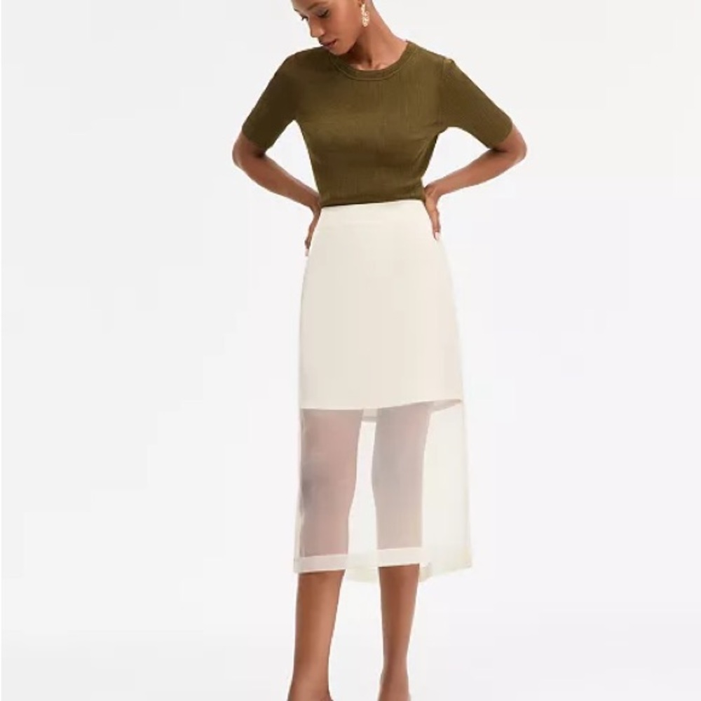 Sheer Mesh Midi Skirt